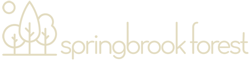 Springbrook Forest