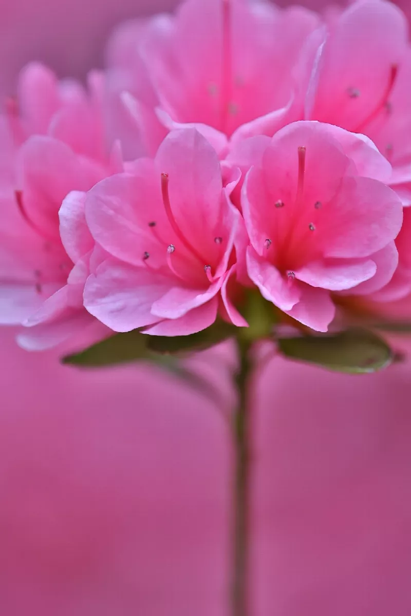 Photo 1 from In My Backyard