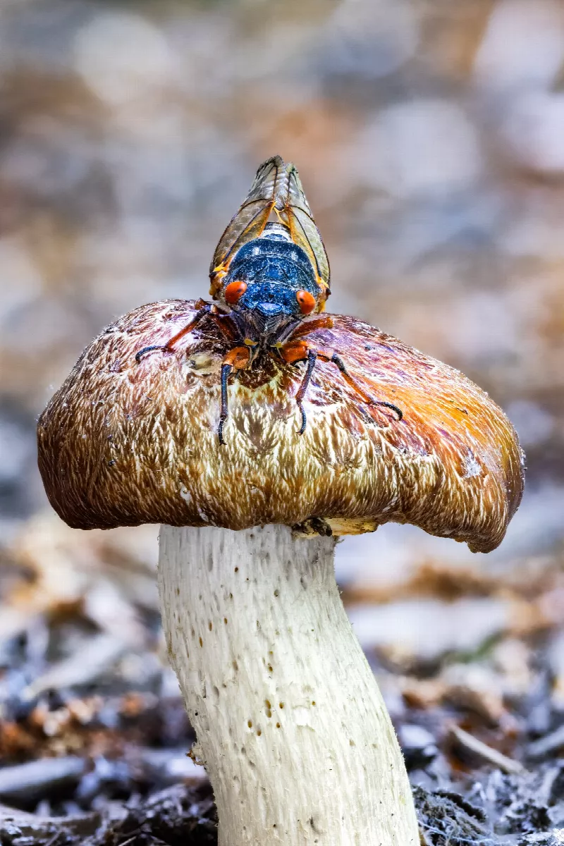 Photo 3 from In My Backyard